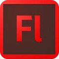 Flash