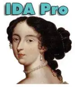 IDA Pro