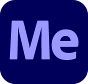 Media Encoder（ME 影音编码）