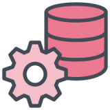 PL/SQL Developer