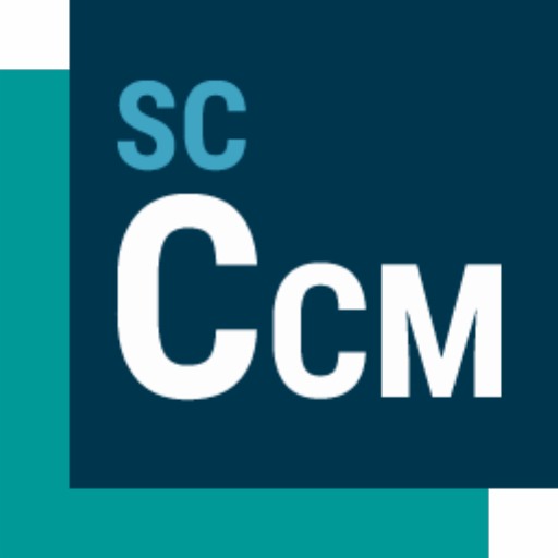 Siemens STAR-CCM+(CFD 模拟软件)